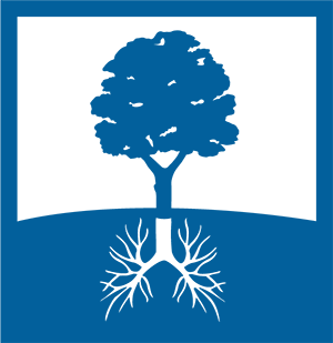 Lungenpraxis Wohlen Logo Icon